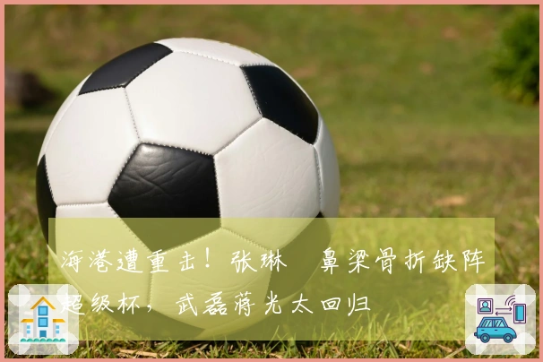 海港遭重击！张琳芃鼻梁骨折缺阵超级杯，武磊蒋光太回归